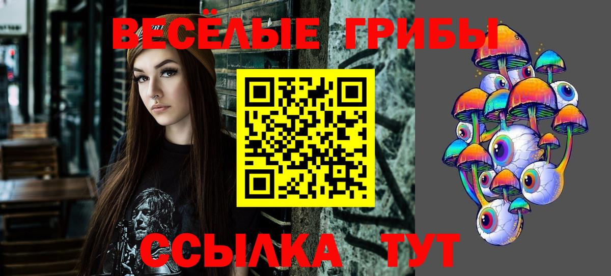Кировск  Псилоцибиновые грибы мицелий  Вход с VPN 